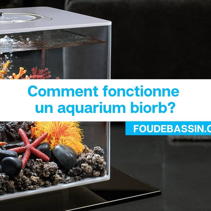 Comment fonctionne un aquarium biorb?