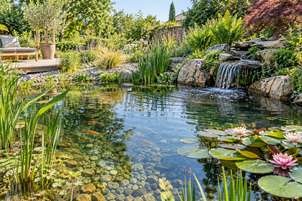 Eau claire dans un bassin : diagnostic, filtration et entretien durable