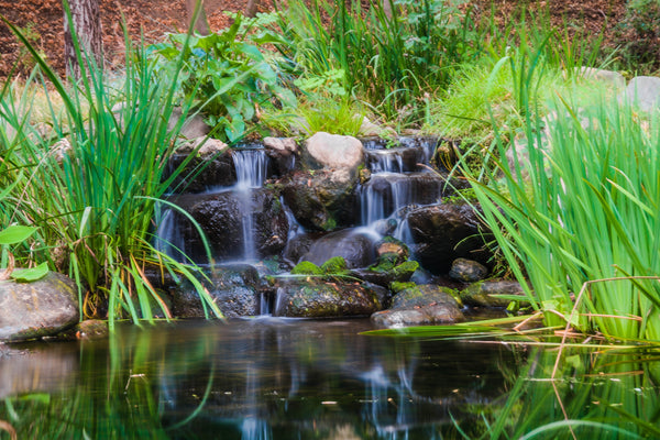How to build your own natural or ecological swimming pool