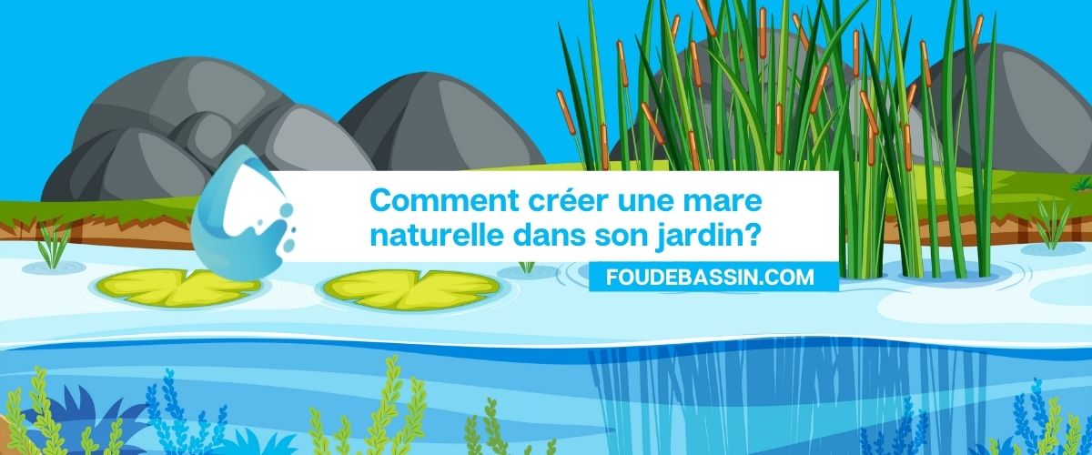 Comment créer une mare naturelle dans son jardin?