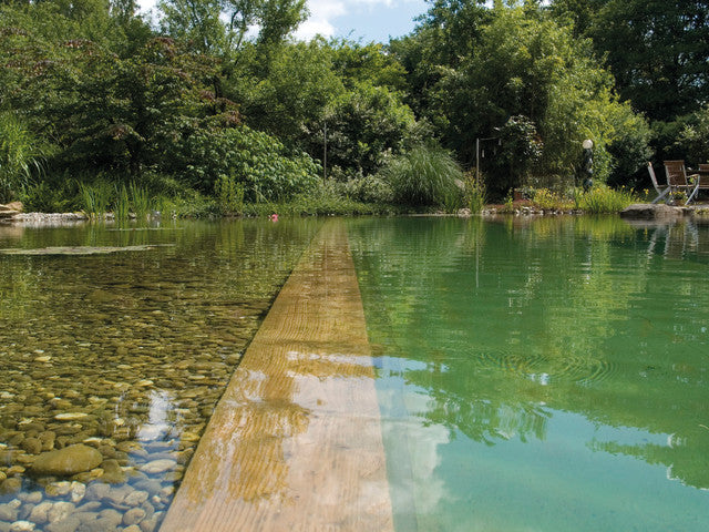 L'eau de mon bassin est verte, que faire?