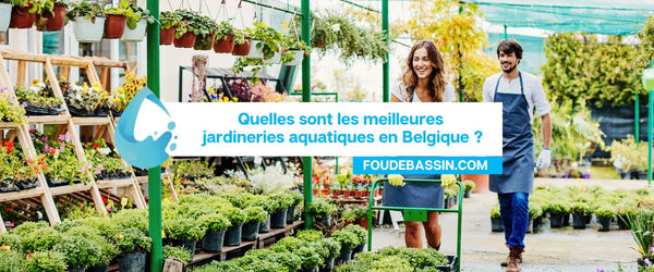 What are the best aquatic garden centers in Belgium?