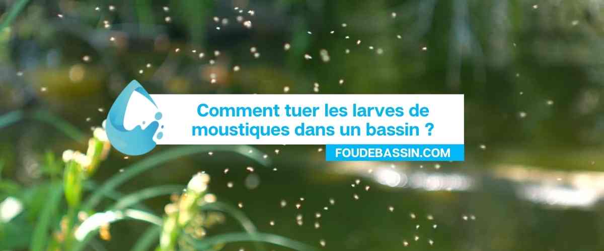 Comment tuer les larves de moustiques dans un bassin?