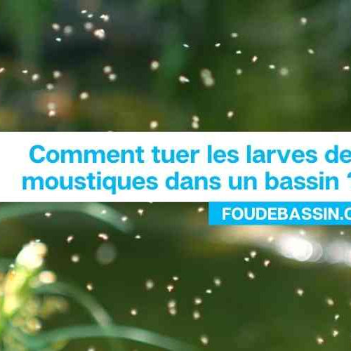 Comment tuer les larves de moustiques dans un bassin?