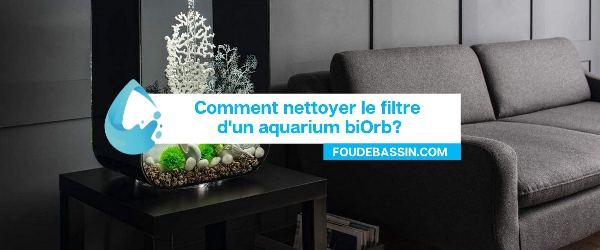 Comment nettoyer le filtre d'un aquarium biOrb?