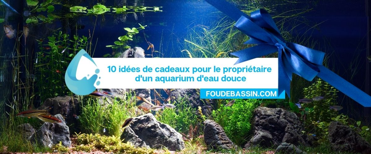 10 idées cadeaux pour le propriétaire d'un aquarium d'eau douce