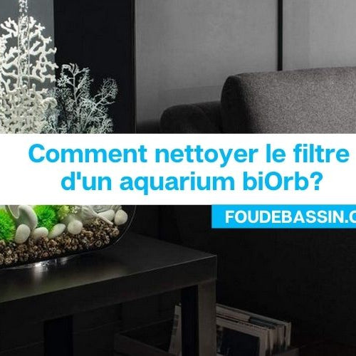 Comment nettoyer le filtre d'un aquarium biOrb?