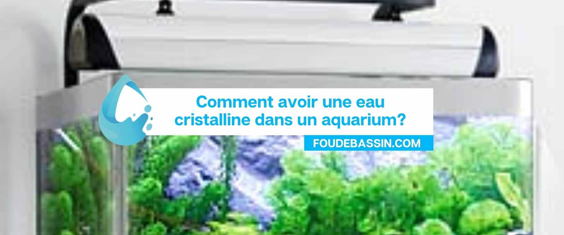 Comment avoir une eau cristalline dans un aquarium?