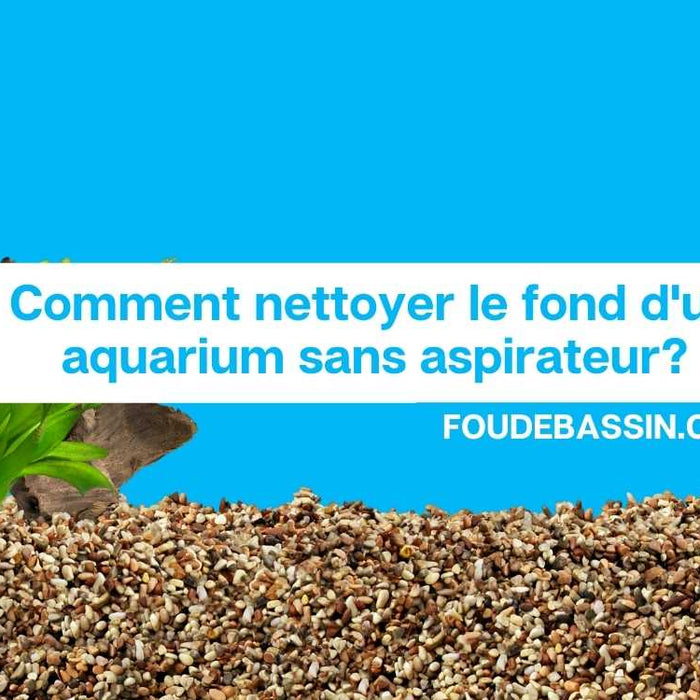 Comment nettoyer le fond d'un aquarium sans aspirateur?