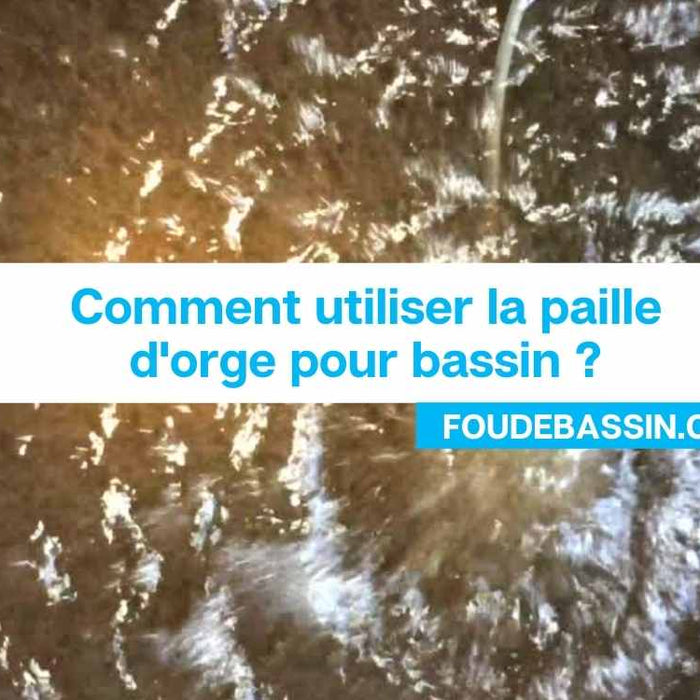 Comment utiliser la paille d'orge pour bassin?