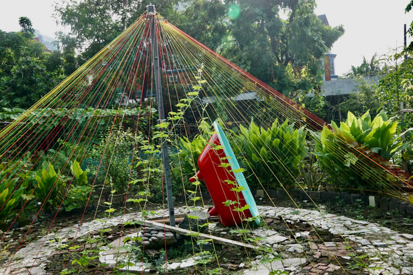 Los principios de la permacultura para jardines