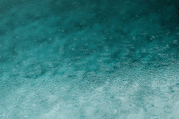 Malos olores en mi cisterna de agua de lluvia, ¿qué hacer? Agua de lluvia que huele mal...