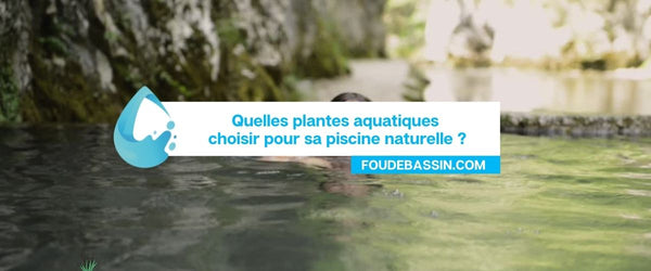 Which aquatic plants to choose for your natural swimming pool?