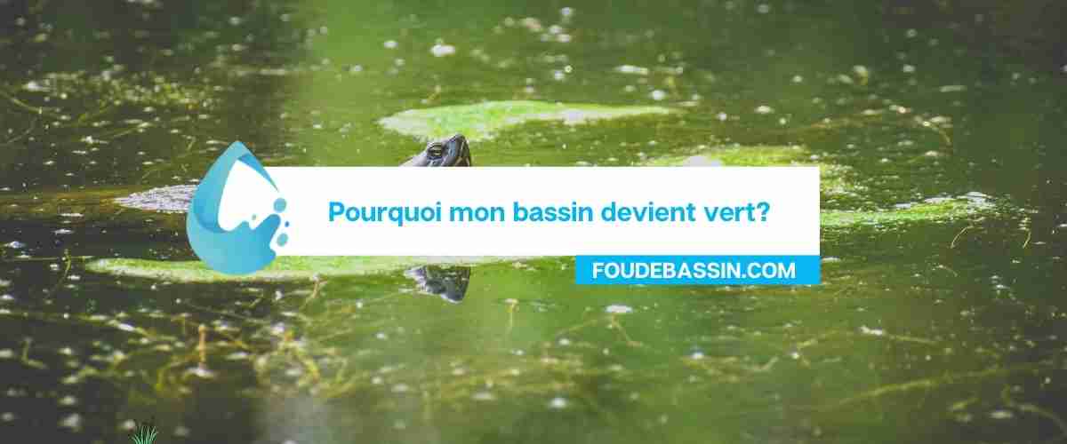 Pourquoi mon bassin devient vert?