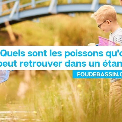 Poissons d'étang - Quels sont les poissons d'étang et de rivière ?