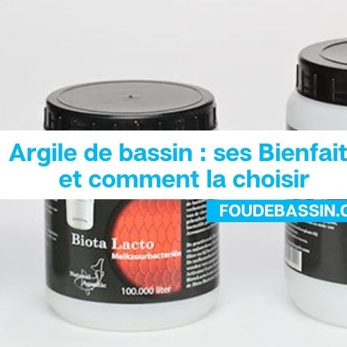 Argile de bassin : ses Bienfaits et comment la choisir