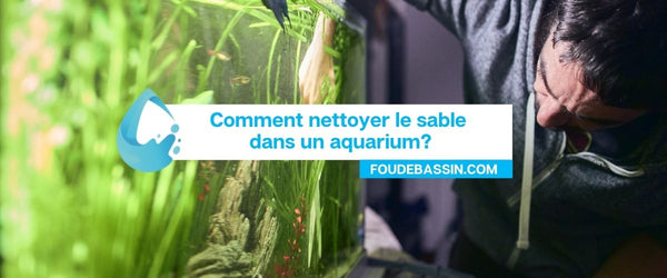How to clean sand in an aquarium?