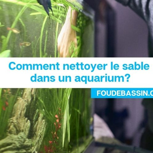 Comment nettoyer le sable dans un aquarium?
