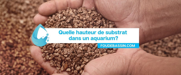 What height of substrate in an aquarium?