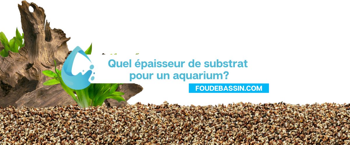 Quel épaisseur de substrat pour un aquarium?
