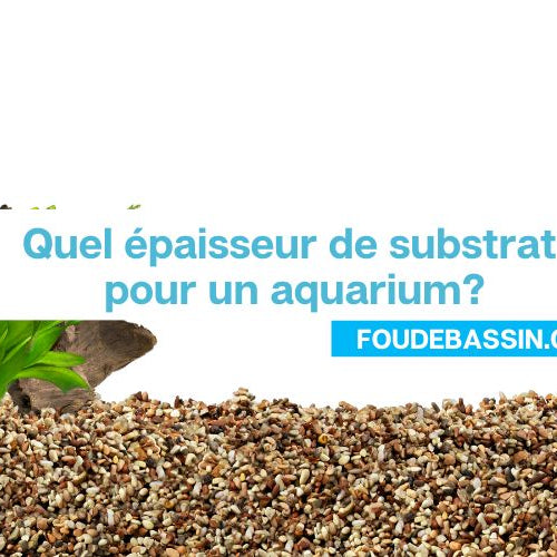 Quel épaisseur de substrat pour un aquarium?