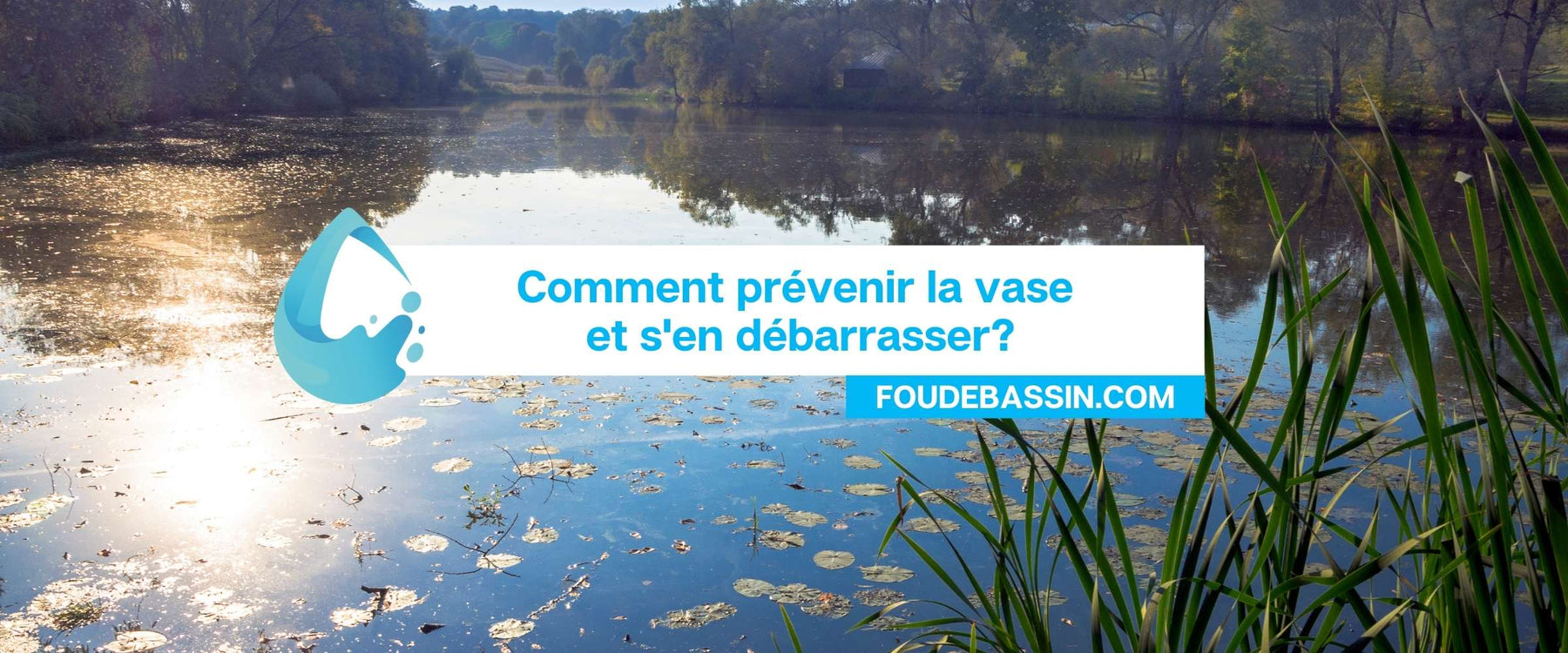 Comment prévenir la vase et s'en débarrasser ?