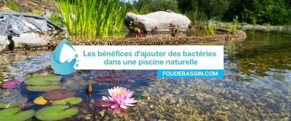 Bacteria in natural swimming pools &amp; lagoons, which ones should I use for my pool?