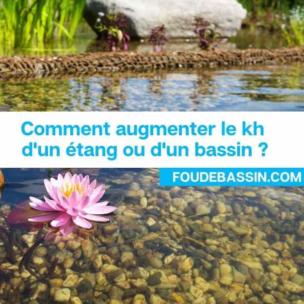 Comment augmenter le kh d'un étang ou d'un bassin?