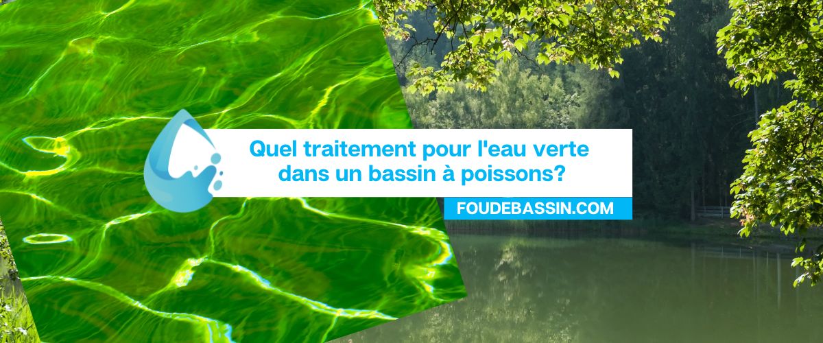 Quel traitement pour l'eau verte dans un bassin à poissons?