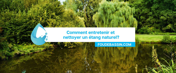 How to maintain and clean a natural pond?