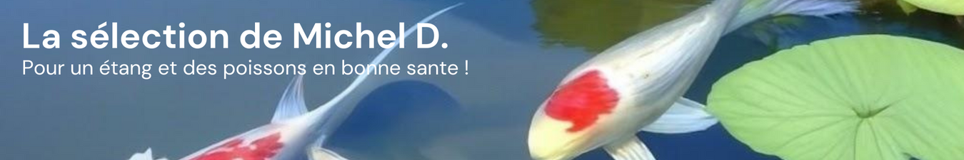 La sélection de Michel Dardenne !