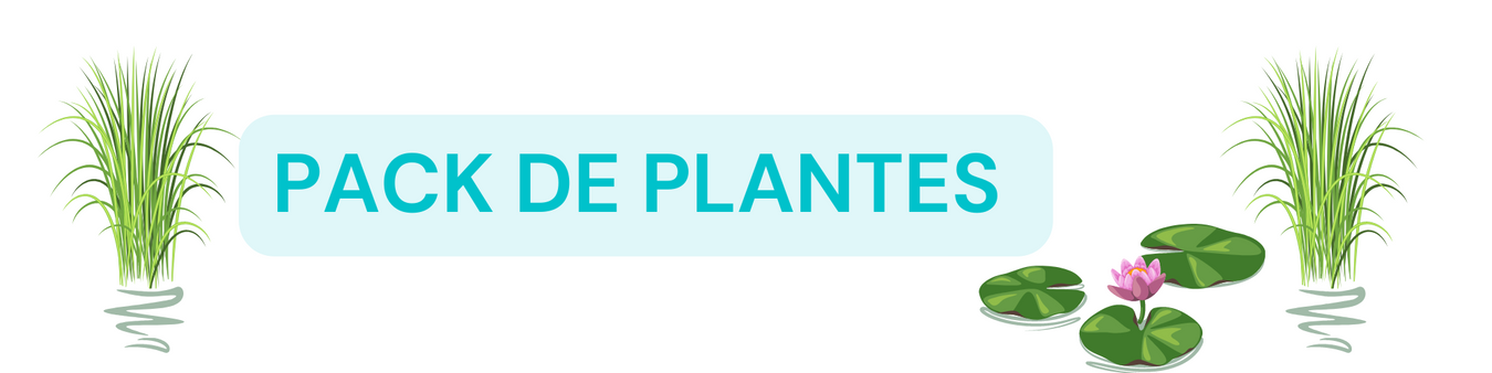 Packs de plantes aquatiques