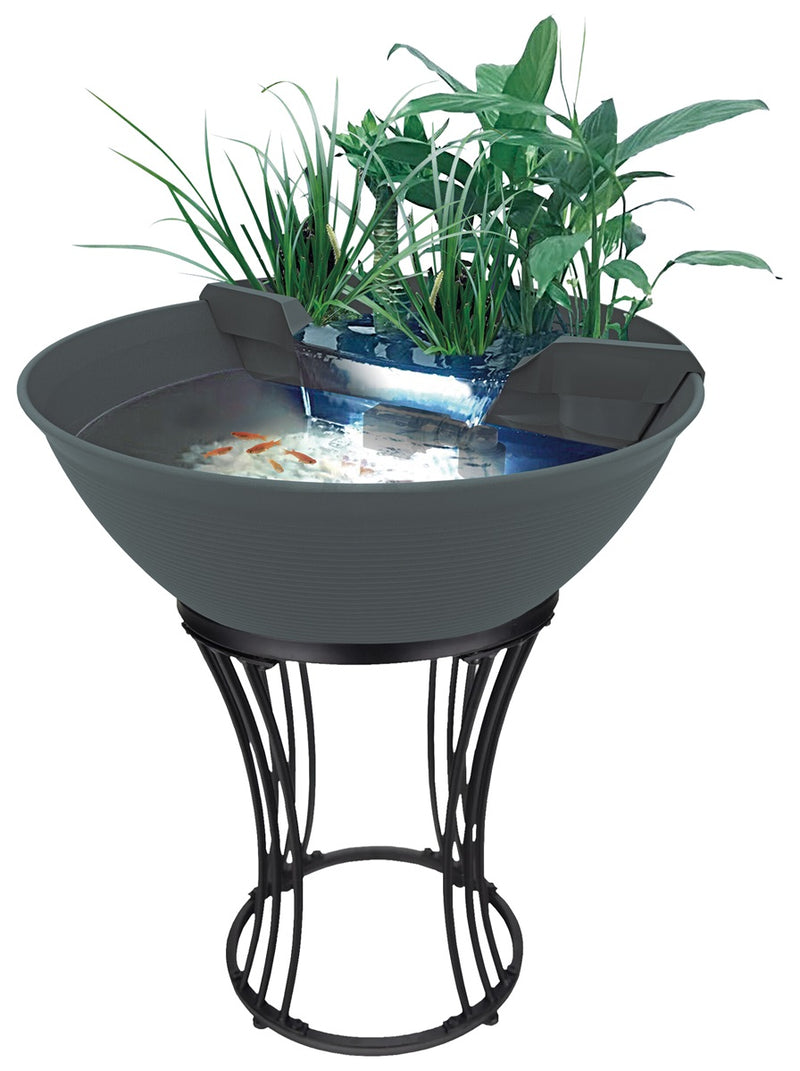 Mini Pond Cabinet - Superfish