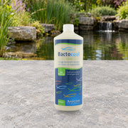 Mise en scène illustrative — Bactocool Bassin 1000ML