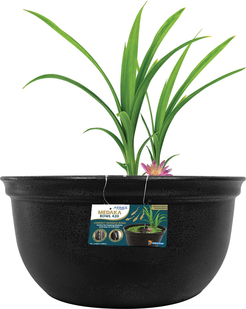 Colombo Medaka Bowl 420