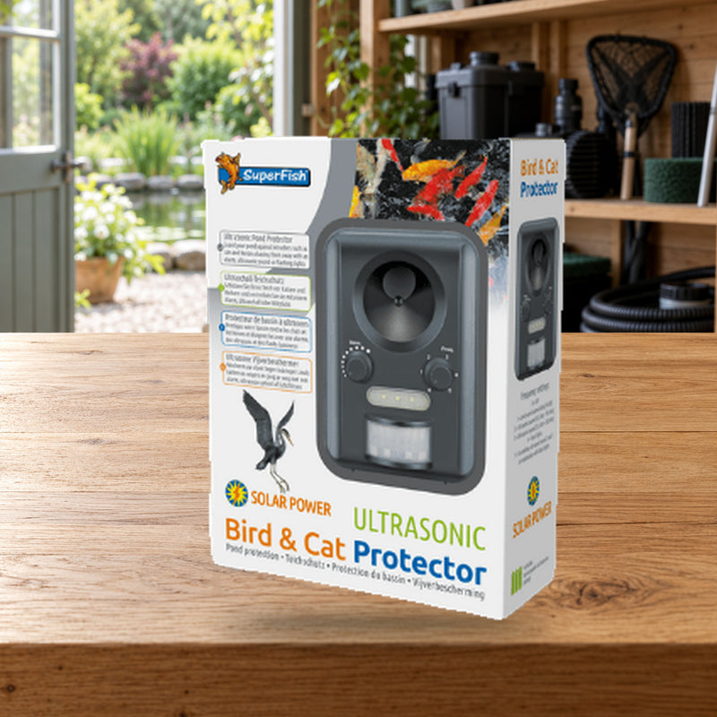 Mise en scène illustrative — Bird & Cat Protector