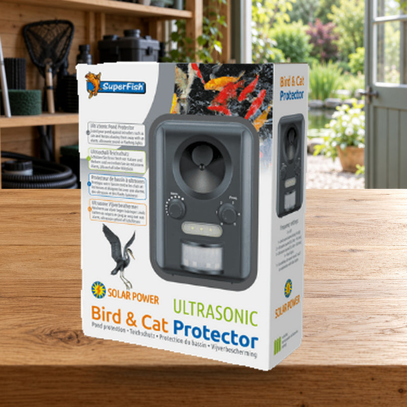 Mise en scène illustrative — Bird & Cat Protector