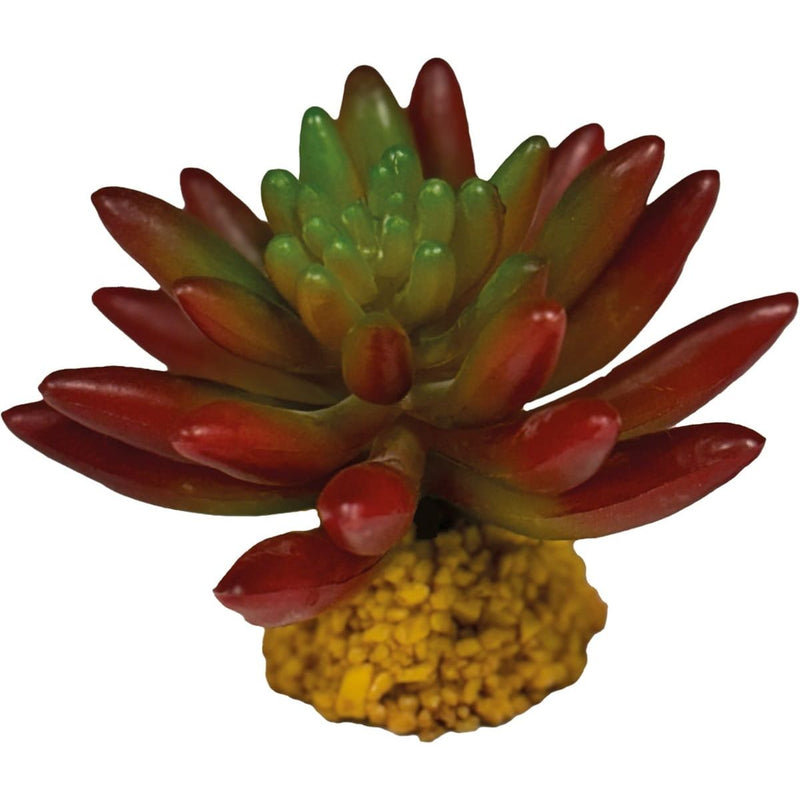 Superfish Reptile Repto Plant Succulente Rouge 8715897353475 R5100550