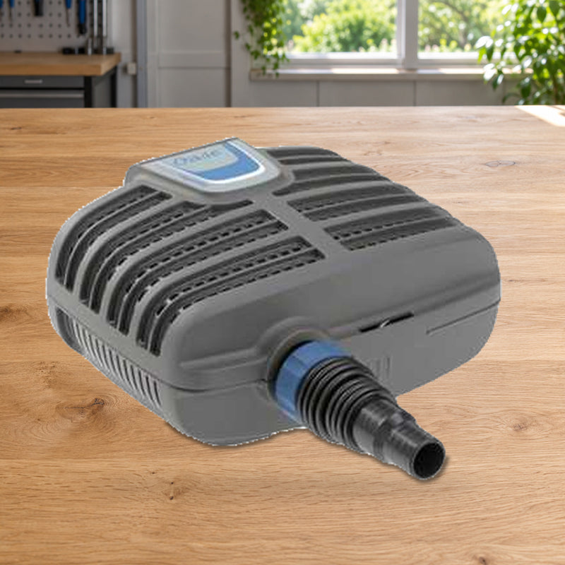 Mise en scène illustrative — AquaMax Eco Classic 17500
