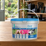 Mise en scène illustrative — AquaActiv BioKick 2L pour 100.000litres