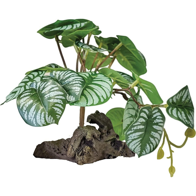 Superfish Reptile Repto Plant Sur Déco Bégonia 8715897351112 R5100450