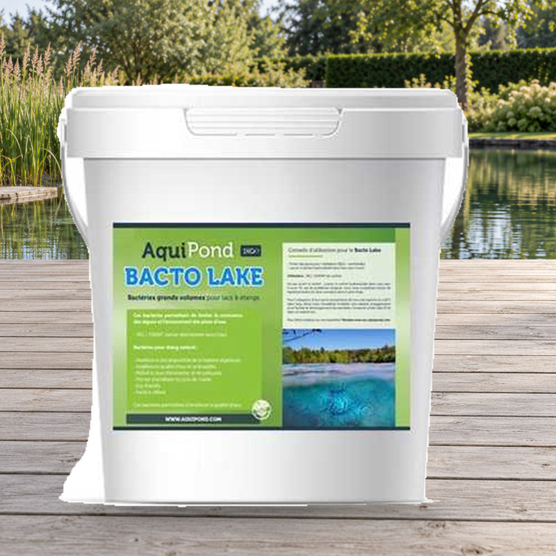 Mise en scène illustrative — Aquipond Bactolake