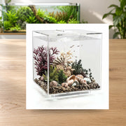 Détail photographique illustratif — Aquarium biOrb CUBE 60 MCR transparent 