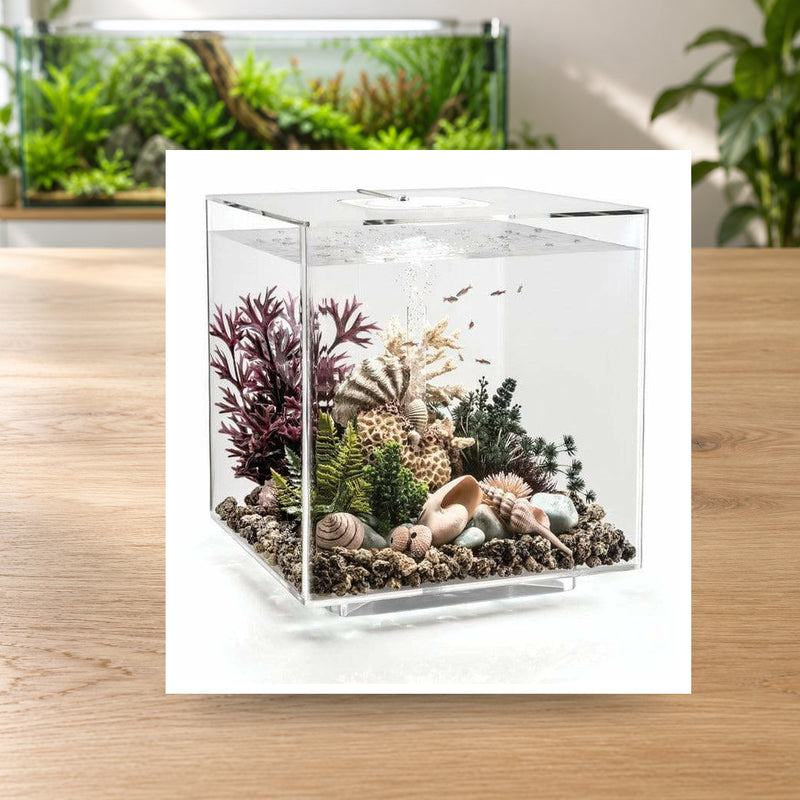 Détail photographique illustratif — Aquarium biOrb CUBE 60 MCR transparent 