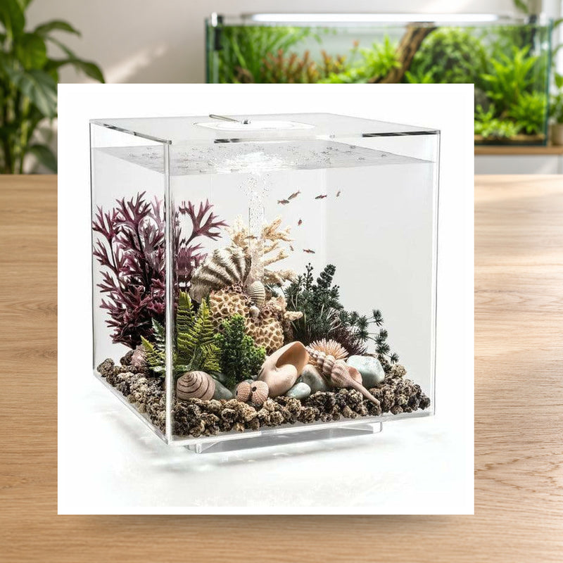 Détail photographique illustratif — Aquarium biOrb CUBE 60 MCR transparent 