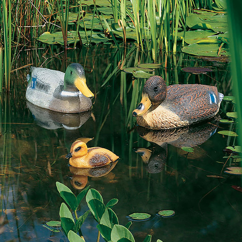 Canard colvert flottant - Heissner 666