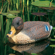 Canard colvert flottant - Heissner 666