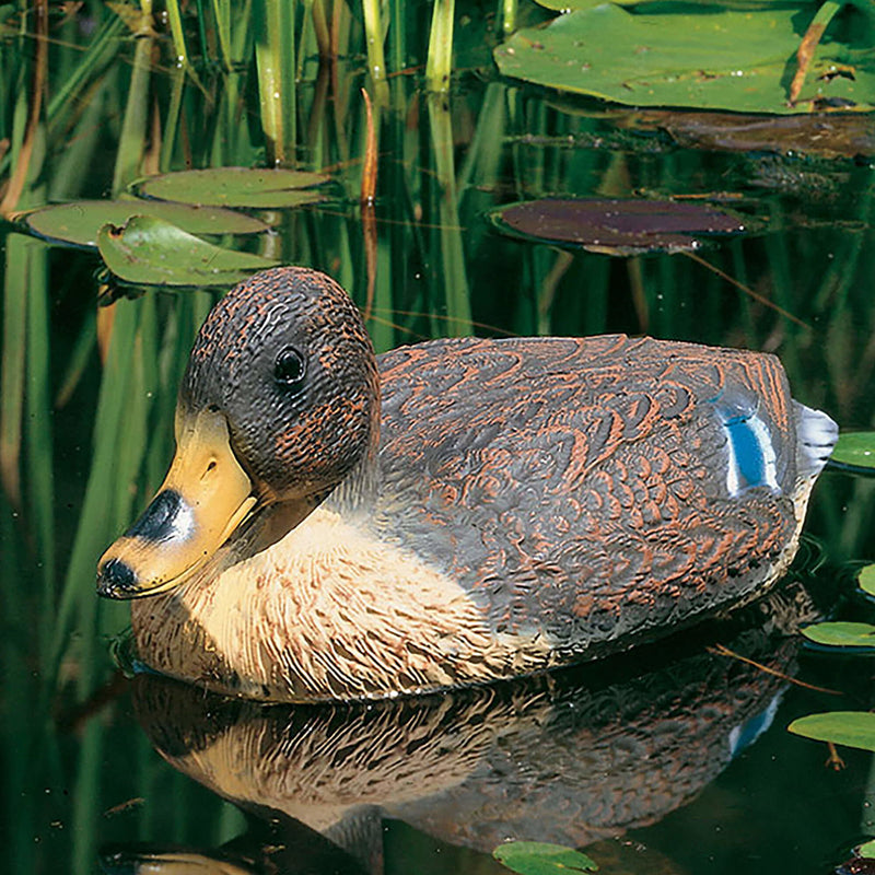 Canard colvert flottant - Heissner 666