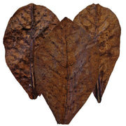 Colombo Aquarium Feuilles de catappa Nano (x10) - Colombo 8715897336195 A5010835