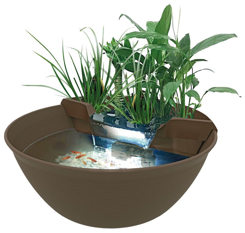Mini Pond Marron - Superfish
